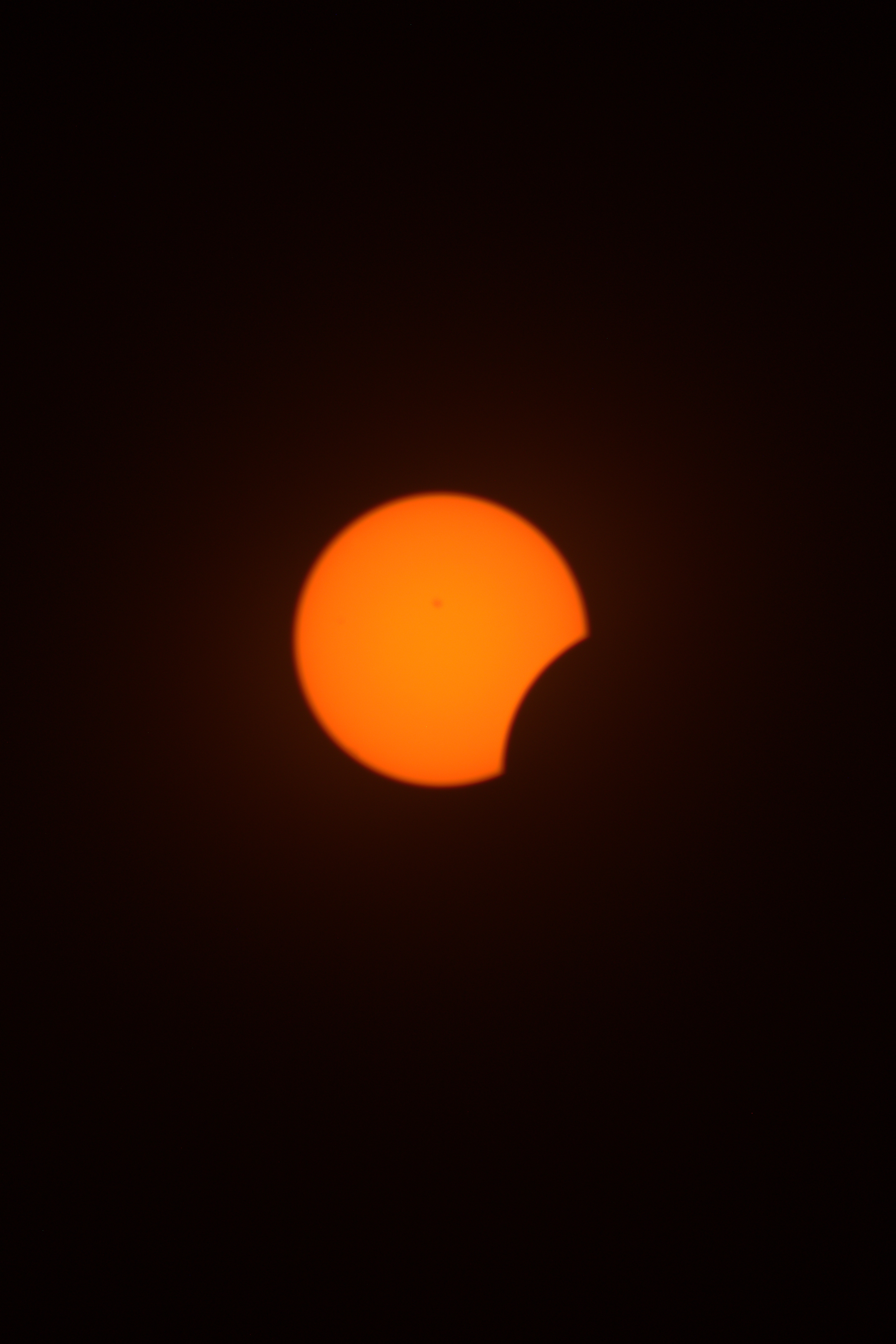 Image 0690