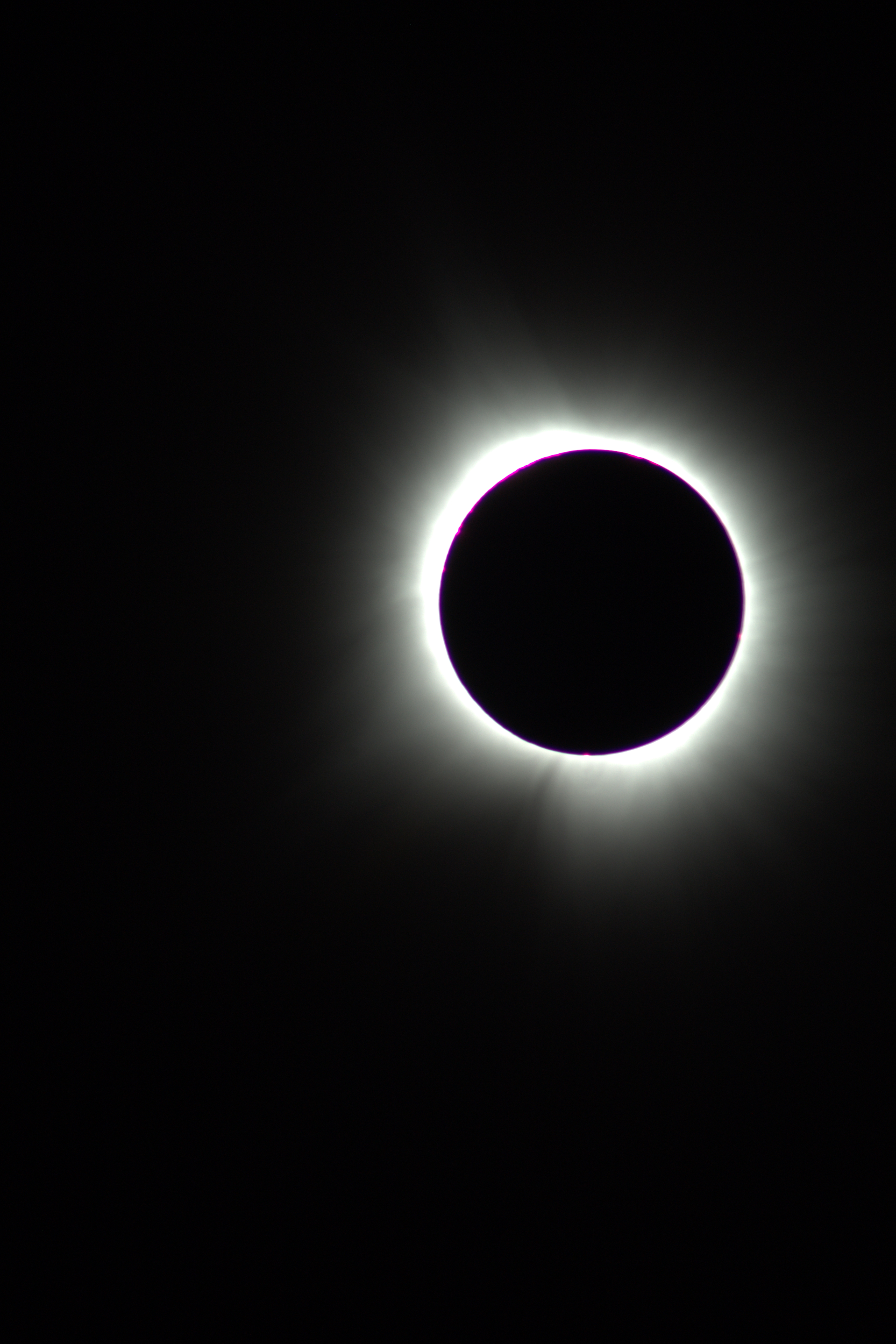 Image 0824