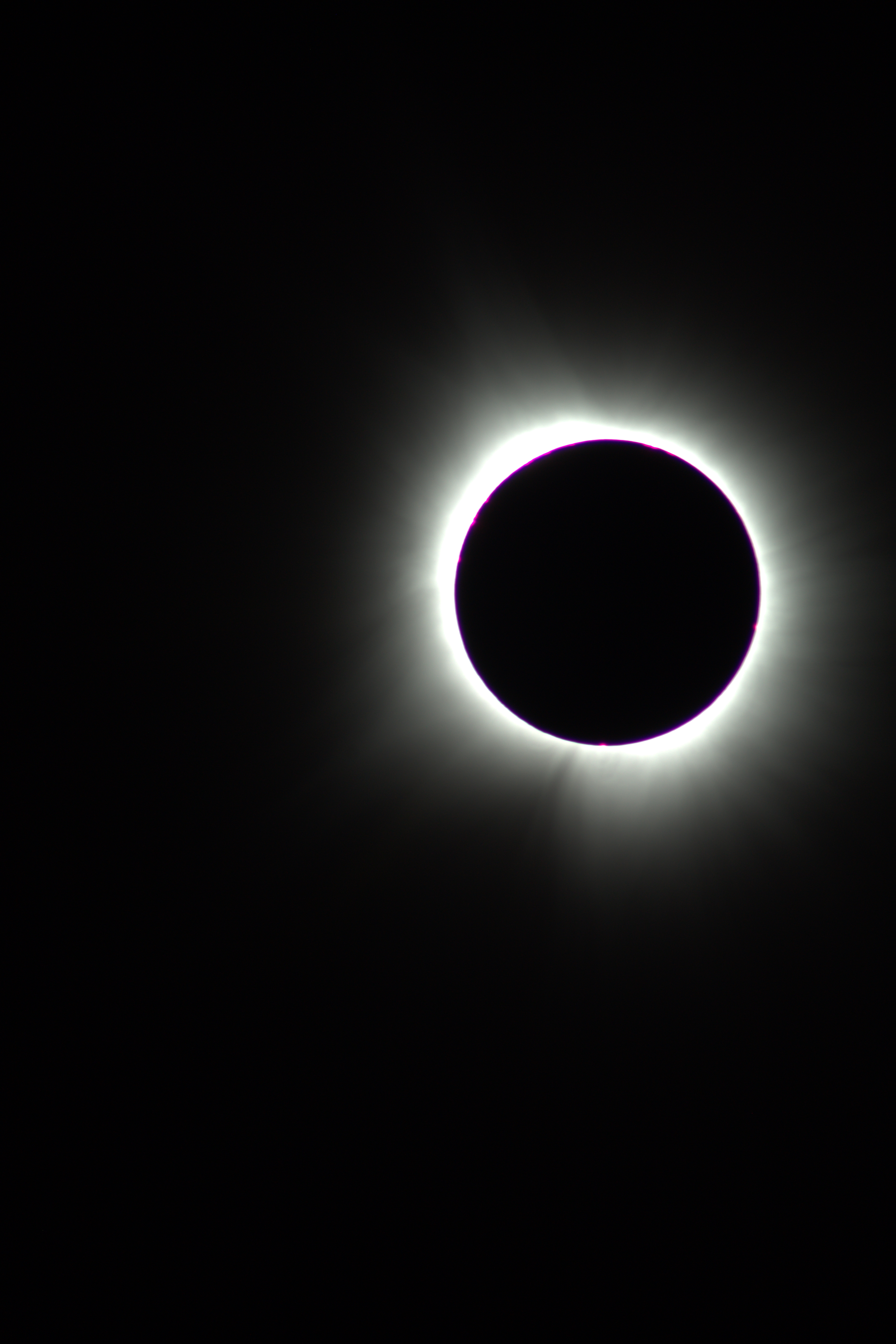 Image 0831