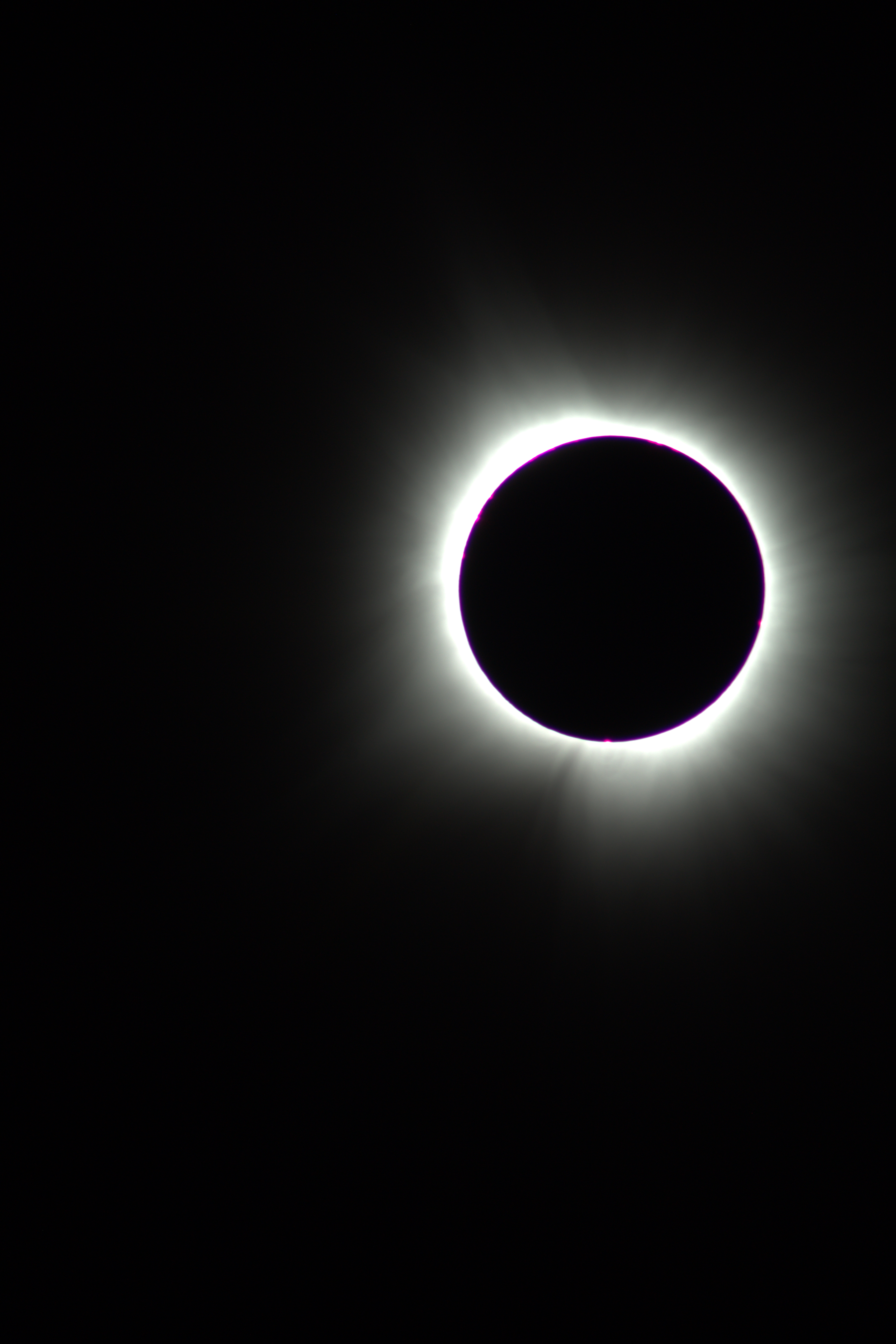 Image 0834